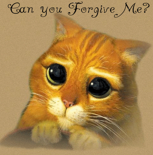 Can you forgive me?