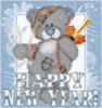 Happy New Year Teddy