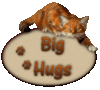 big hugs, animated cat
