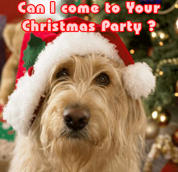 Can I Come To Your Christmas Party?
