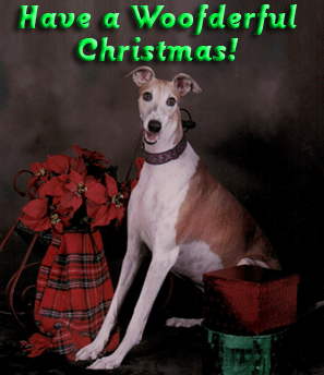 Have A Woofderful Christmas 