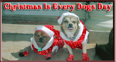 Christmas Is Every Dogs Day