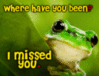 Missing-You-Frog