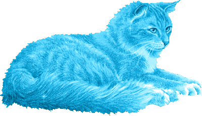 AQUA BLUE GLITTER CAT