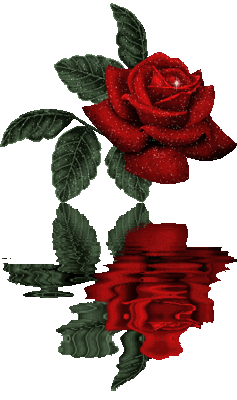 Glitter Rose