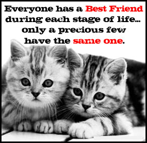 Best-Friends-for-Life