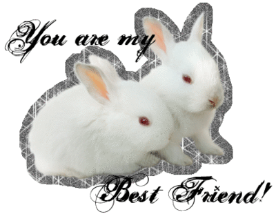 Bunny-Best-Friend