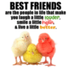 Chick-Friends