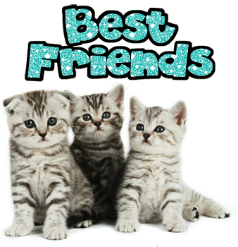 Kitten-Friends