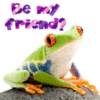Friend-Frog