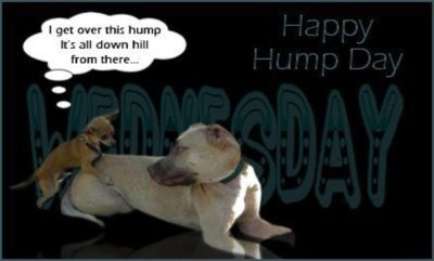 WEDNESDAY HUMP DAY