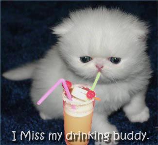 Miss My Drinking Buddy