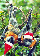 Christmas_Bat