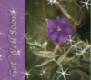 get_well_soon_flower