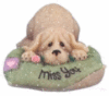 miss_you_dog