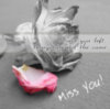 Miss-you-card