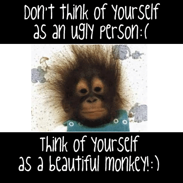 Beautiful-Monkey