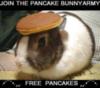 JOIN THE PANCAKE BUNNY ARMY 