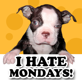 Hate-Mondays