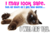 May-Look-Safe