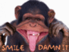 Smile - Damn it - Chimp