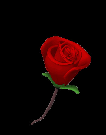 A Valentines Rose For Your Heart