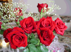 Red-Roses---Valentine's-Day