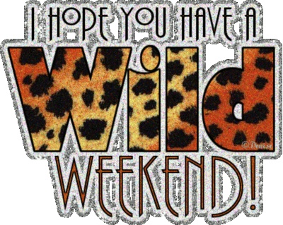 I hope you have a wild weekend...