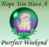 Have A Purrfect Weekend