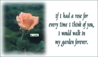 if I had a rose for every time I think of you, I would walk in my garden forever