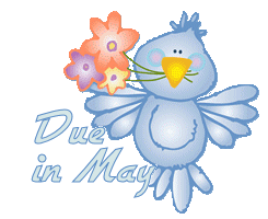 Due in May - Bluebird Fun