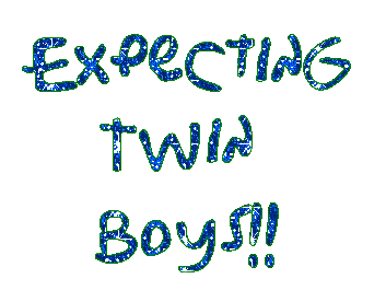 expecting twin boys