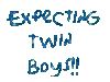 expecting twin boys