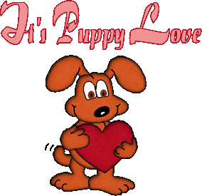It's Puppy Love
