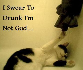 I Swear To Drunk I'm Not God - Cat