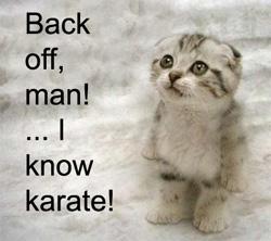 I Know Karate - Kitty