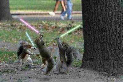 Star Wars Squirrels