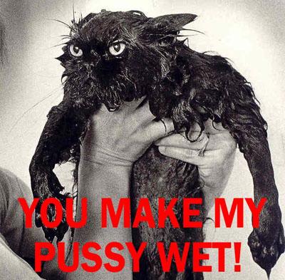 You Make My Pussy Wet