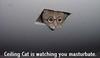 Ceiling Cat Is Watching You Masturbate