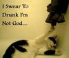I Swear To Drunk I'm Not God - Cat