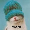 Word - Cat