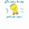 tweety baby boy prince!