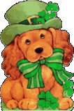 Irish dog