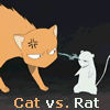 cat vs rat