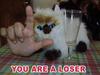 You Are A Loser
