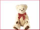 a teddybear