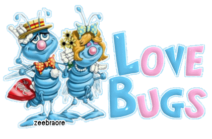 Love Bugs Blue & Pink