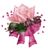 pink rose-be mine