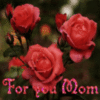 For you Mom