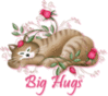 Big Hugs Cat With Pink Rose